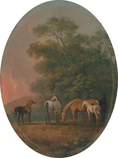 Mares And Foals