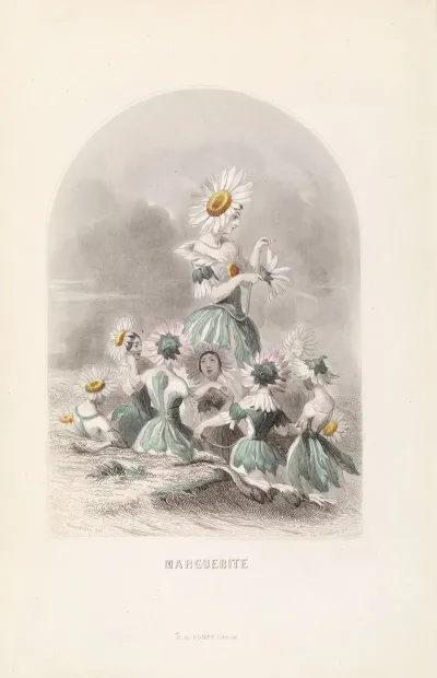 Marguerite 4