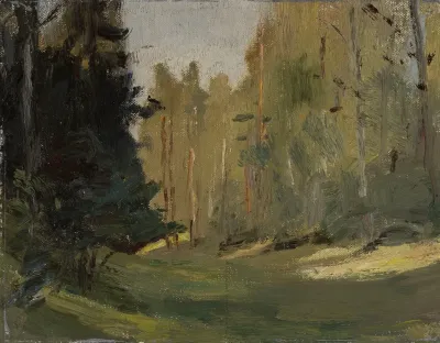 Mariino Clearing In A Forest
