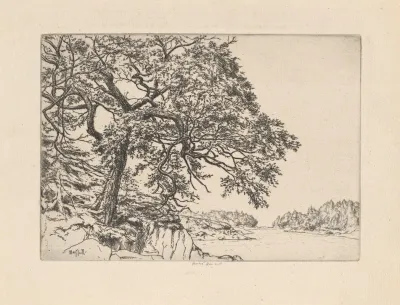 Marins Oak