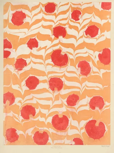 Marmorpapier 41