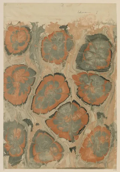 Marmorpapier 67