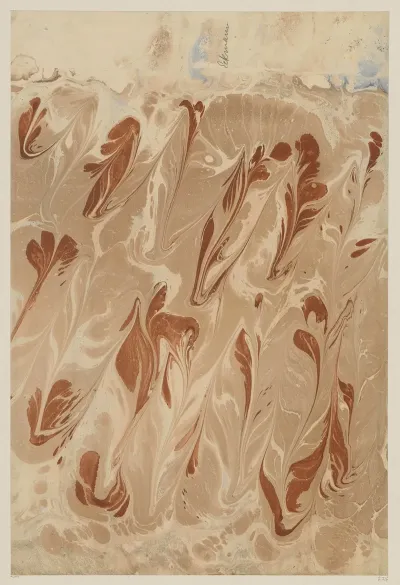 Marmorpapier 79