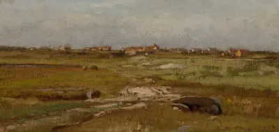Marsh Landscape