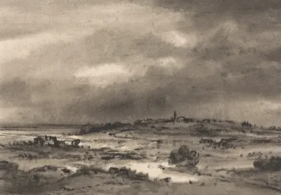 Marshland Landscape