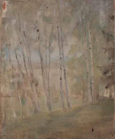 Maryino Birch Trees