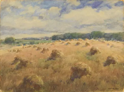 Maryland Wheat Fields