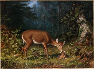 Maternal Love