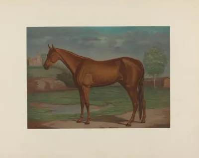 Maud S The Queen Of The Trotting Turf