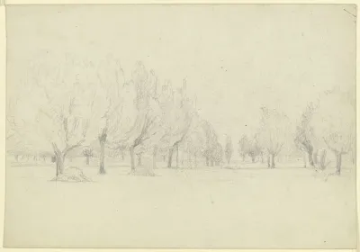 Meadow With Trees