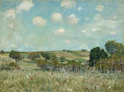 Meadow