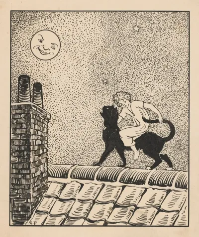 Meisje Rijdt Op Een Kat Over De Daken