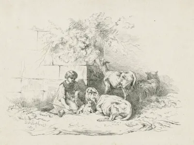 Meisje Zittend Bij Schapen