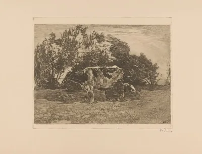 Melkende Boer 3