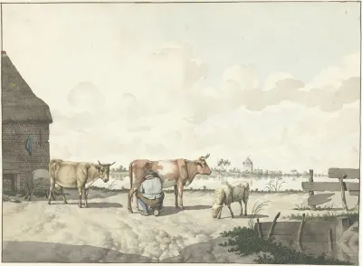 Melkende Boer