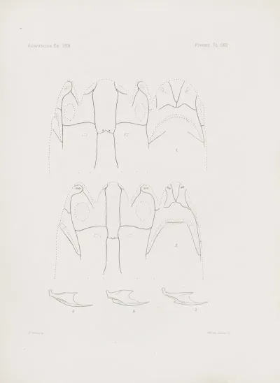 Memoirs Of The Museum Of Comparative Zoology At Harvard College Pl 69