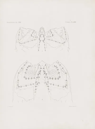 Memoirs Of The Museum Of Comparative Zoology At Harvard College Pl 72