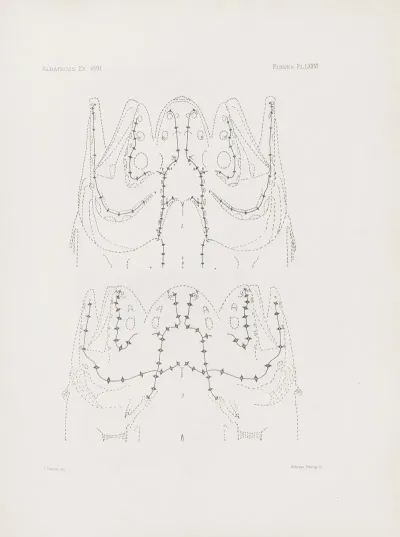 Memoirs Of The Museum Of Comparative Zoology At Harvard College Pl 76