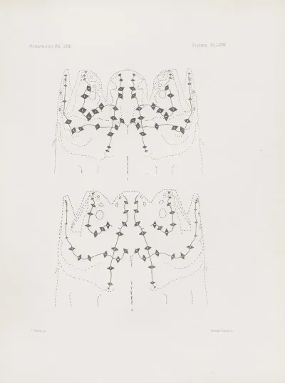 Memoirs Of The Museum Of Comparative Zoology At Harvard College Pl 79