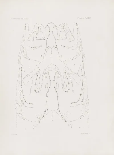 Memoirs Of The Museum Of Comparative Zoology At Harvard College Pl 80
