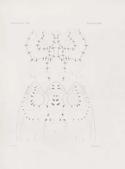 Memoirs Of The Museum Of Comparative Zoology At Harvard College Pl 81