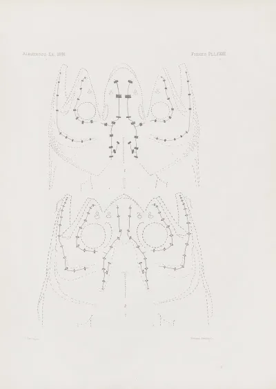 Memoirs Of The Museum Of Comparative Zoology At Harvard College Pl 82