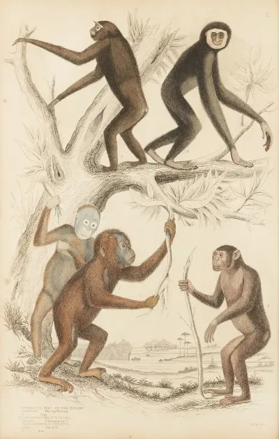 Men Of The Woods