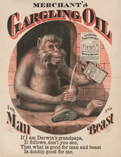 Merchants Gargling Oil For Man And Beast