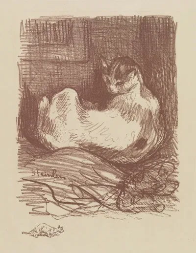 Mere Chatte