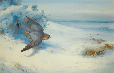 Merlin And Larks