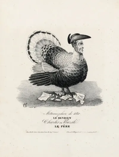 Metamorphose De 1830 Le Dindon