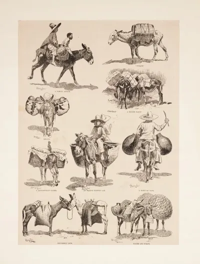 Mexican Burros
