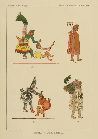 Mexican Military Insignia 2
