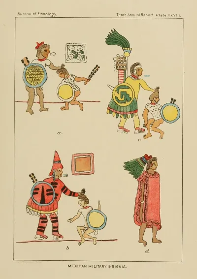 Mexican Military Insignia