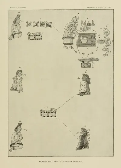 Mexican Treatment Of New Born Children