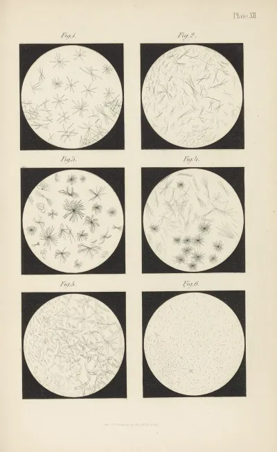 Micro Chemistry Of Poisons Pl 12