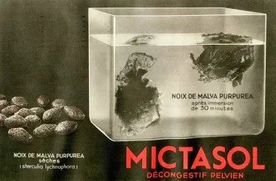Mictasol