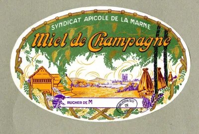 Miel De Champagne