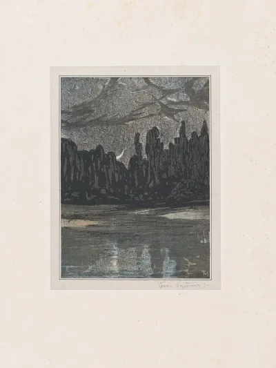 Migratory Birds On A Moonlit Night