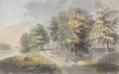 Miller Lane Trees By River