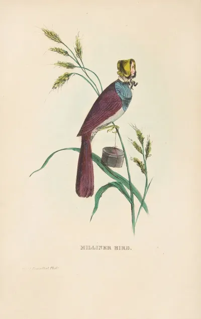 Milliner Bird Minnie Doyle
