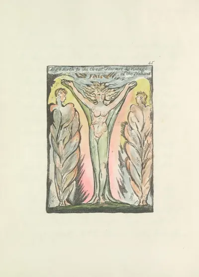 Milton A Poem In 2 Books Pl 45