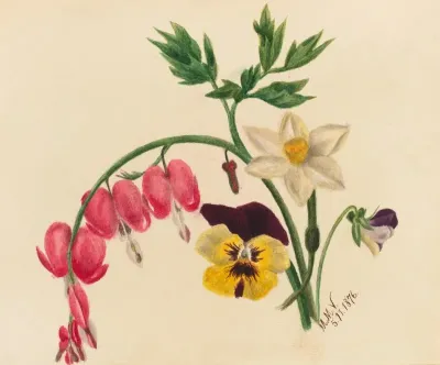 Mixed Flowers