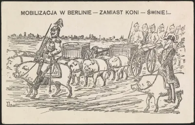 Mobilizacja W Berlinie Zamiast Koni Swinie