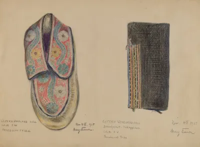 Moccasin 2