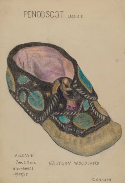 Moccasin