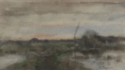 Moeraslandschap Met Zonsondergang
