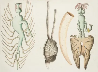 Molluscs
