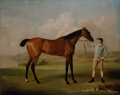 Molly Long Legs With Her Jockey