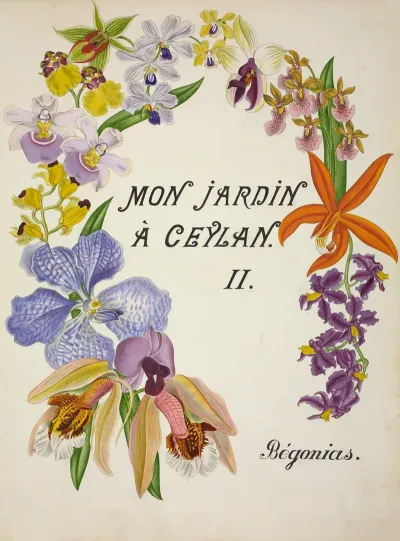 Mon Jardin A Ceylan Pl 160